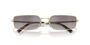 Pale Gold / Gradient Blue Mirror Silver (ZVN30C)