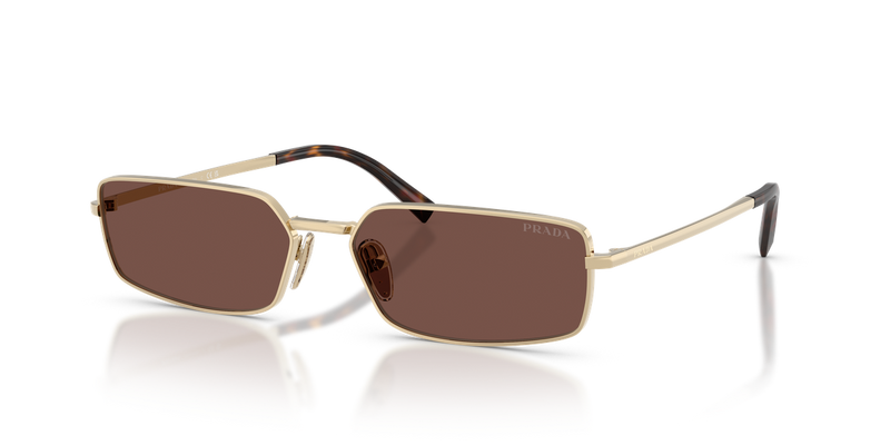 Prada PR A60S in Pale Gold / Black Chocolate (ZVN80T) - Alternate View