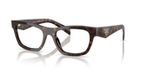 Root Tortoise / Demo Lens (17N1O1)