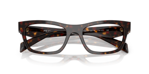 Root Tortoise / Demo Lens (17N1O1)