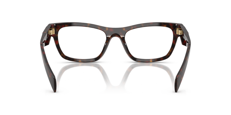Prada PR B01VF in Root Tortoise - Alternate View