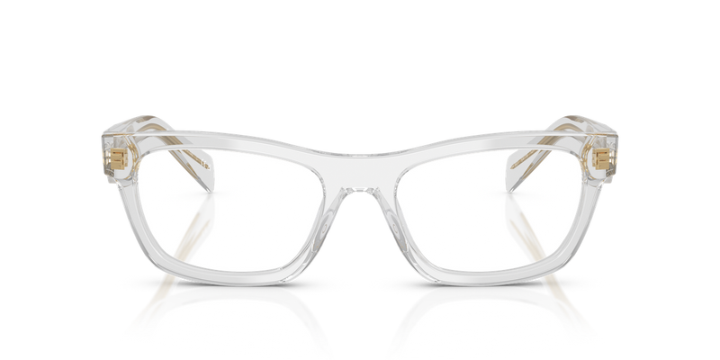 Prada PR B01V in Poppy Tortoise/Bordeaux / Demo Lens (12R1O1) - Alternate View