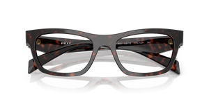 Root Tortoise / Demo Lens (17N1O1)