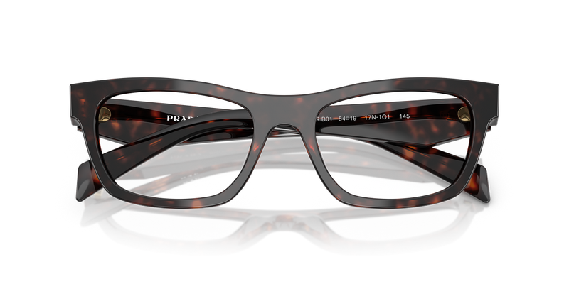 Prada PR B01V in Root Tortoise / Demo Lens (17N1O1) - Alternate View