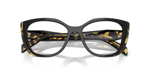 Black/Medium Tortoise / Demo Lens (3891O1)