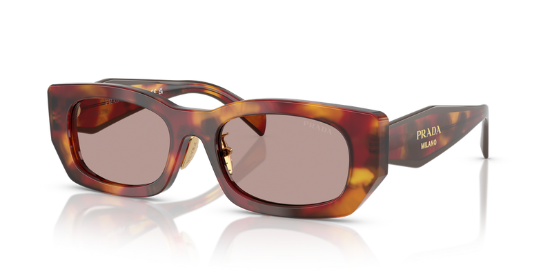 Prada PR B05SF in Poppy Tortoise - Alternate View