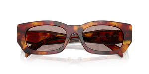 Poppy Tortoise / Light Purple Brown (22A20I)