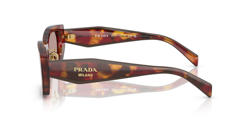 Prada PR B05SF in Poppy Tortoise - Alternate View