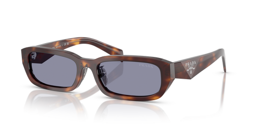 Classic Tortoise / Grey (15W03N)
