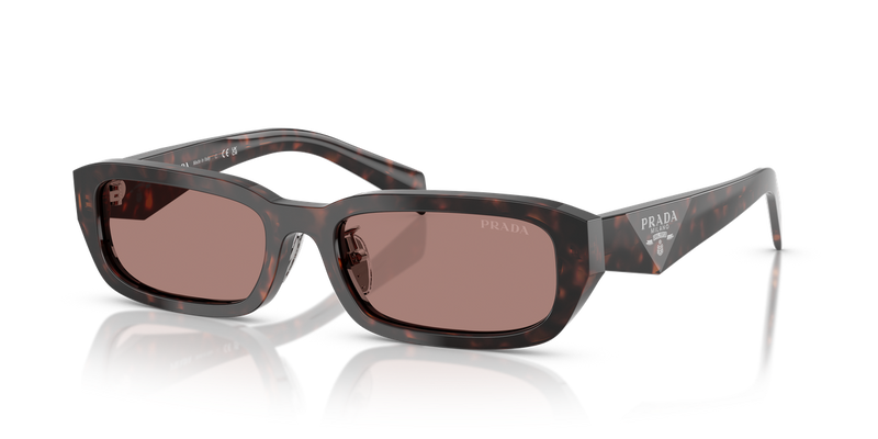 Prada PR B06SF in Root Tortoise - Alternate View