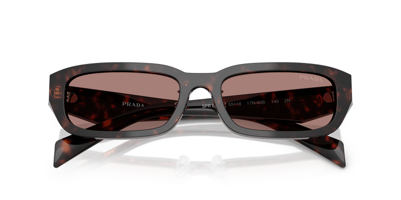 Prada PR B06SF in Root Tortoise - Alternate View