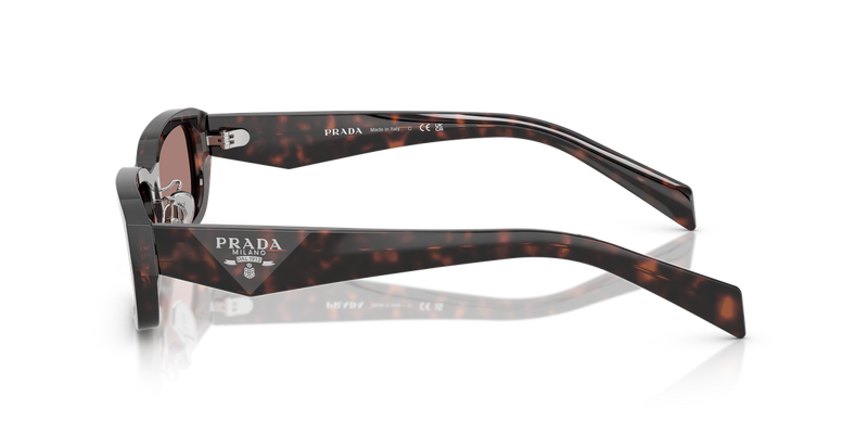 Prada PR B06SF in Root Tortoise - Alternate View