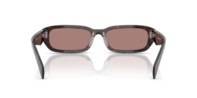 Prada PR B06SF in Root Tortoise - Alternate View