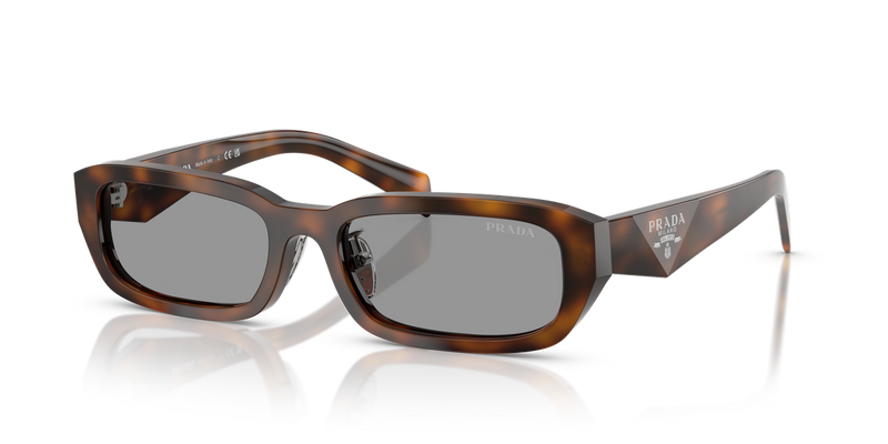 Prada PR B06SF in Juniper Tortoise - Alternate View