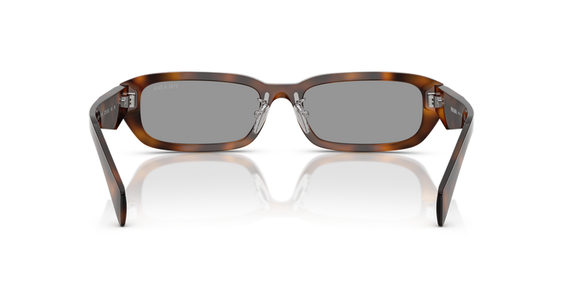 Prada PR B06SF in Juniper Tortoise - Alternate View