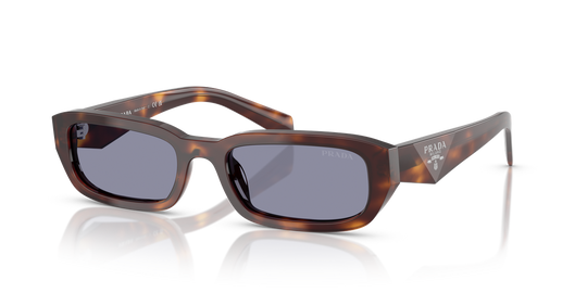 Prada PR B06S - Classic Tortoise / Grey (15W03N)