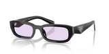 Black / Violet (16K40J)