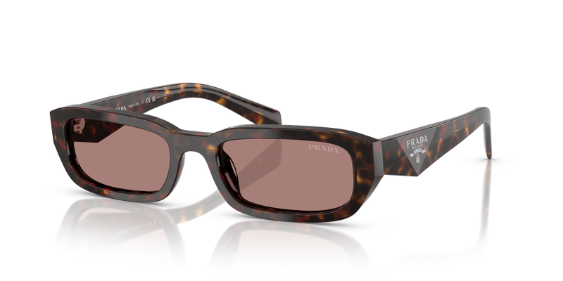 Prada PR B06S in Root Tortoise - Alternate View