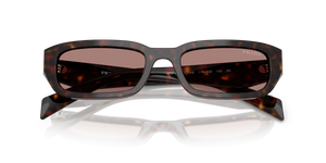 Root Tortoise / Light Brown (17N60B)