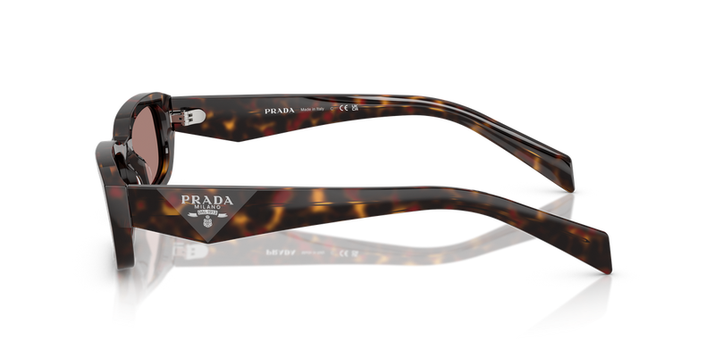 Prada PR B06S in Root Tortoise - Alternate View