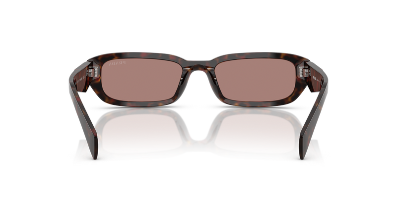 Prada PR B06S in Root Tortoise - Alternate View