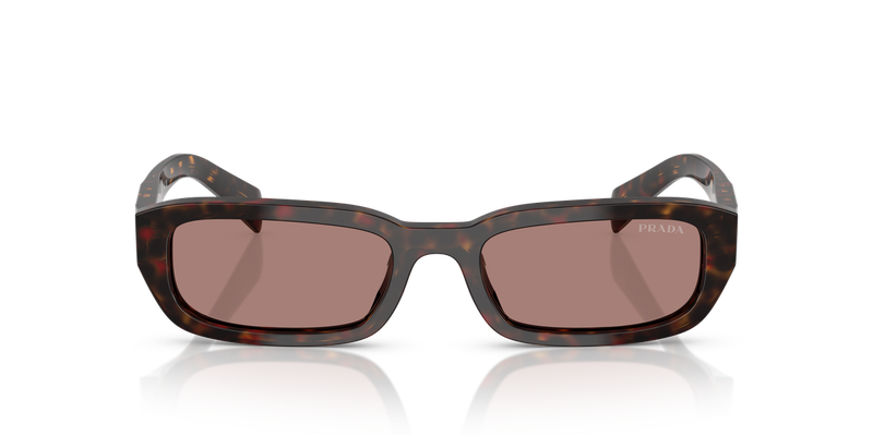 Prada PR B06S in Root Tortoise - Alternate View