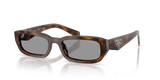Juniper Tortoise / Grey (20D50Q)