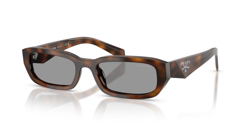 Prada PR B06S in Juniper Tortoise - Alternate View