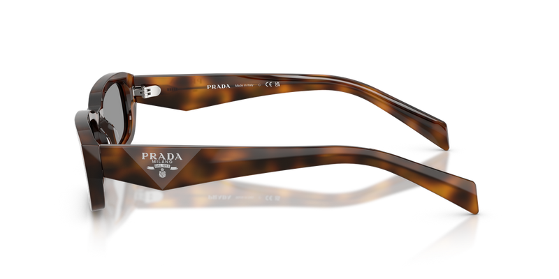 Prada PR B06S in Juniper Tortoise - Alternate View