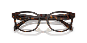 Root Tortoise / Demo Lens (17N1O1)