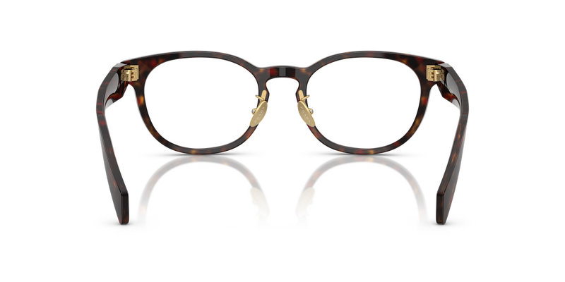 Prada PR B06VD in Root Tortoise - Alternate View