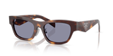 Classic Tortoise / Grey (15W03N)