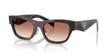 Root Tortoise / Light Brown Gradient Bordeaux (17N50L)