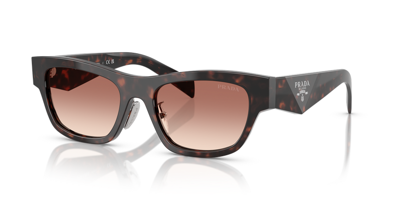 Prada PR B09SF in Root Tortoise - Alternate View
