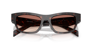 Root Tortoise / Light Brown Gradient Bordeaux (17N50L)