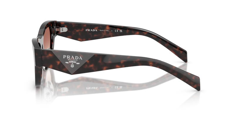 Prada PR B09SF in Root Tortoise - Alternate View