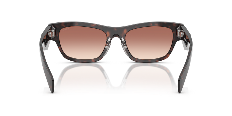 Prada PR B09SF in Root Tortoise - Alternate View