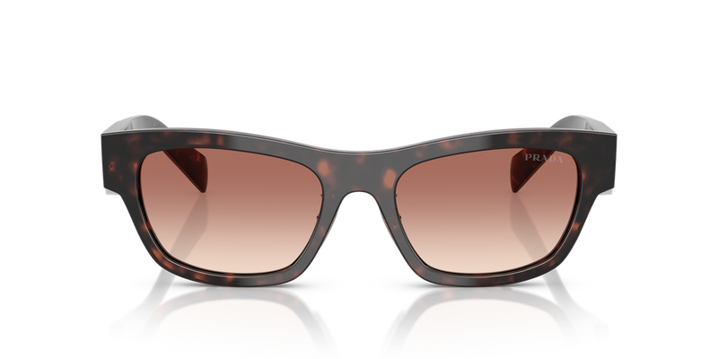 Prada PR B09SF in Root Tortoise - Alternate View