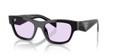 Black / Violet (16K40J)