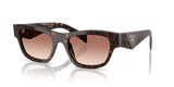 Root Tortoise / Light Brown Gradient Bordeaux (17N50L)