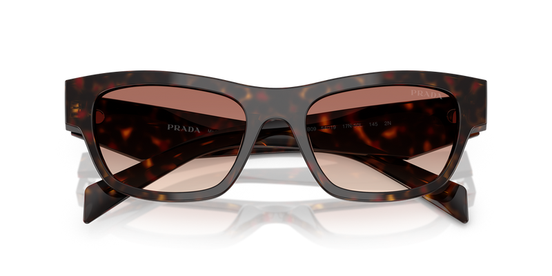 Prada PR B09S in Root Tortoise - Alternate View