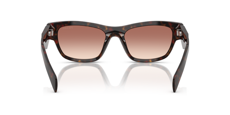 Prada PR B09S in Root Tortoise - Alternate View