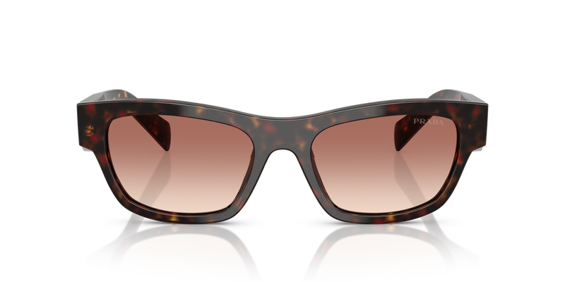 Prada PR B09S in Root Tortoise - Alternate View