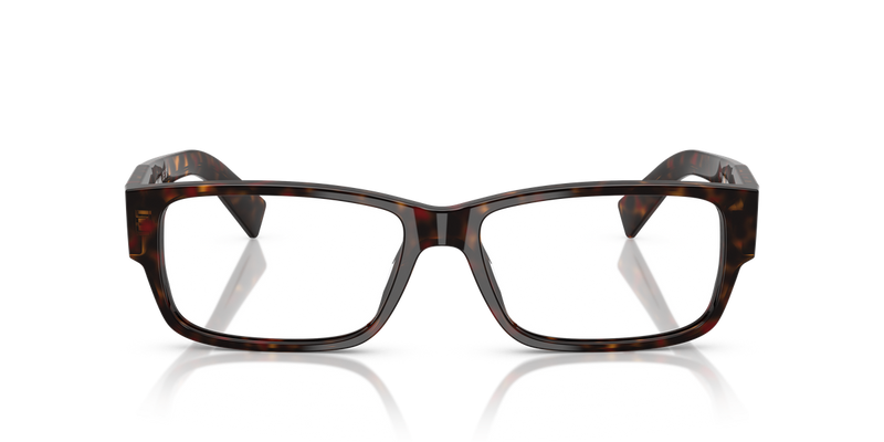 Prada PR B09VF in Root Havana - Alternate View