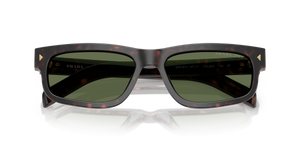 Root Tortoise / Polarized Green (17N20G)