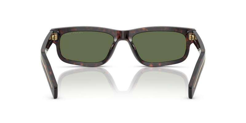 Prada PR B11S in Root Tortoise / Polarized Green (17N20G) - Alternate View