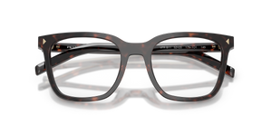 Root Tortoise / Demo Lens (17N1O1)