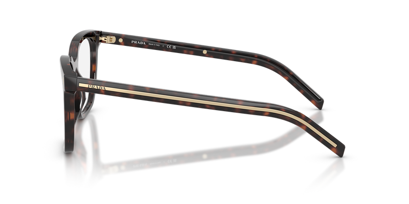 Prada PR B11V in Root Tortoise / Demo Lens (17N1O1) - Alternate View