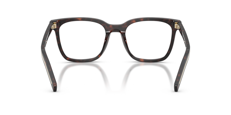 Prada PR B11V in Root Tortoise / Demo Lens (17N1O1) - Alternate View