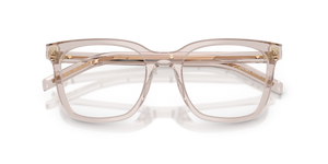 Cold Mauve / Demo Lens (29D1O1)